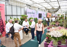 Overzicht booth Evanthia